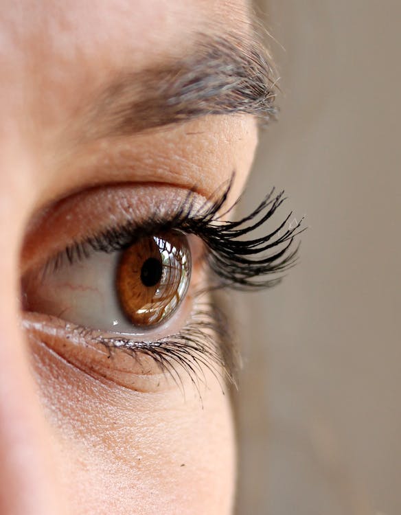 Ingredients for fast eyelash growth that you can find at home!
