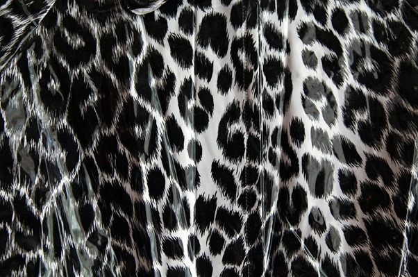 Why Animal Prints in Fashion Will Always be Trendy