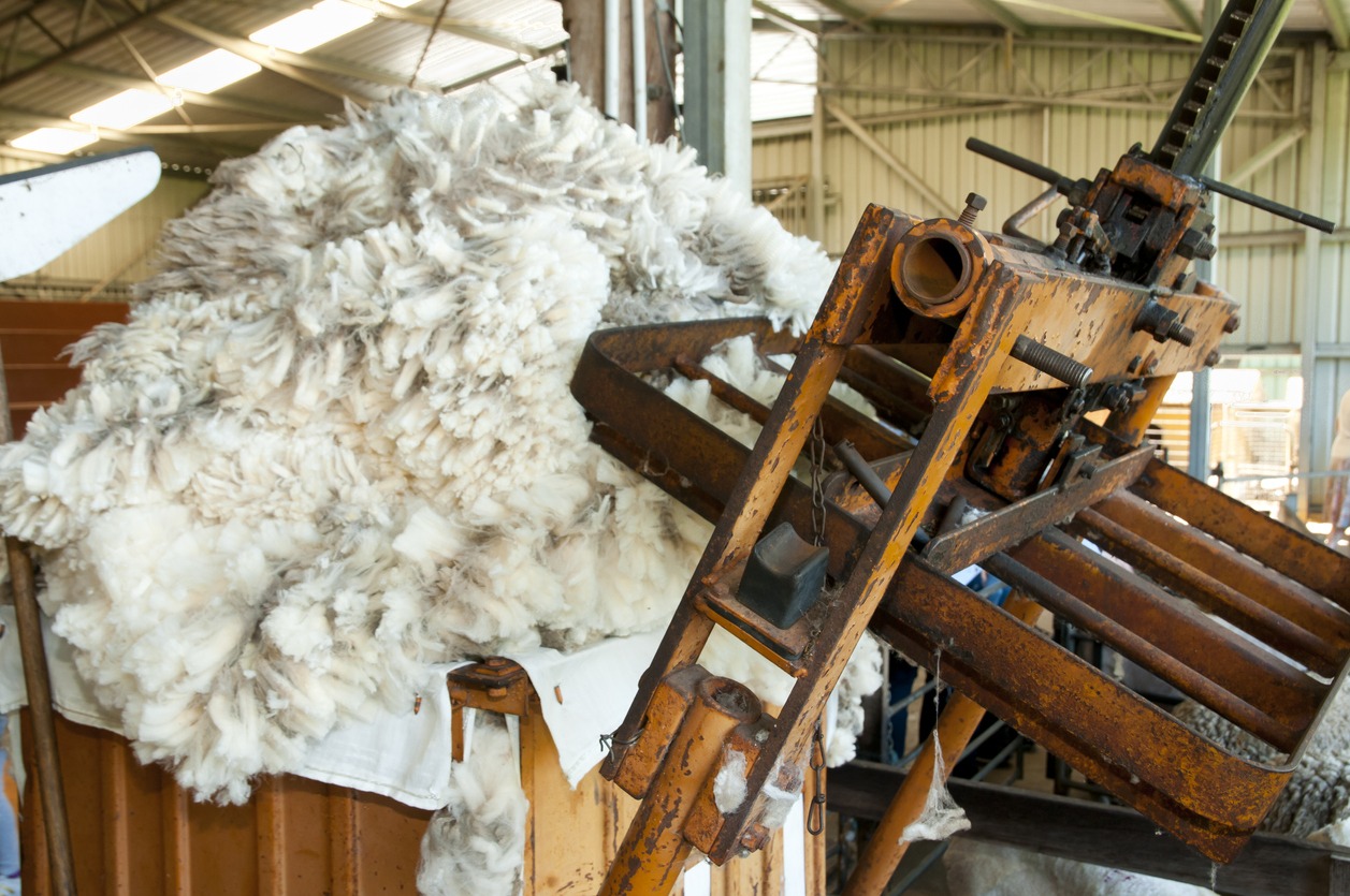 Wool Press